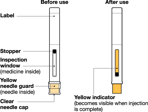 Autoinjector IFU Figure 1