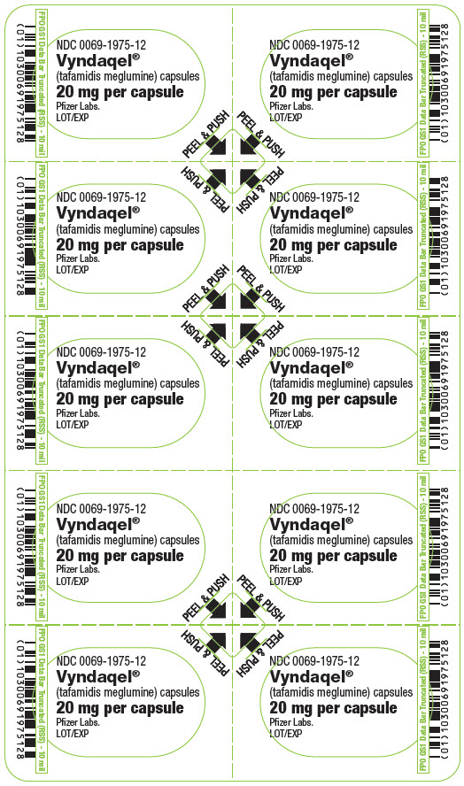 PANEL DE VISUALIZACIÓN PRINCIPAL - Blister de 20 mg