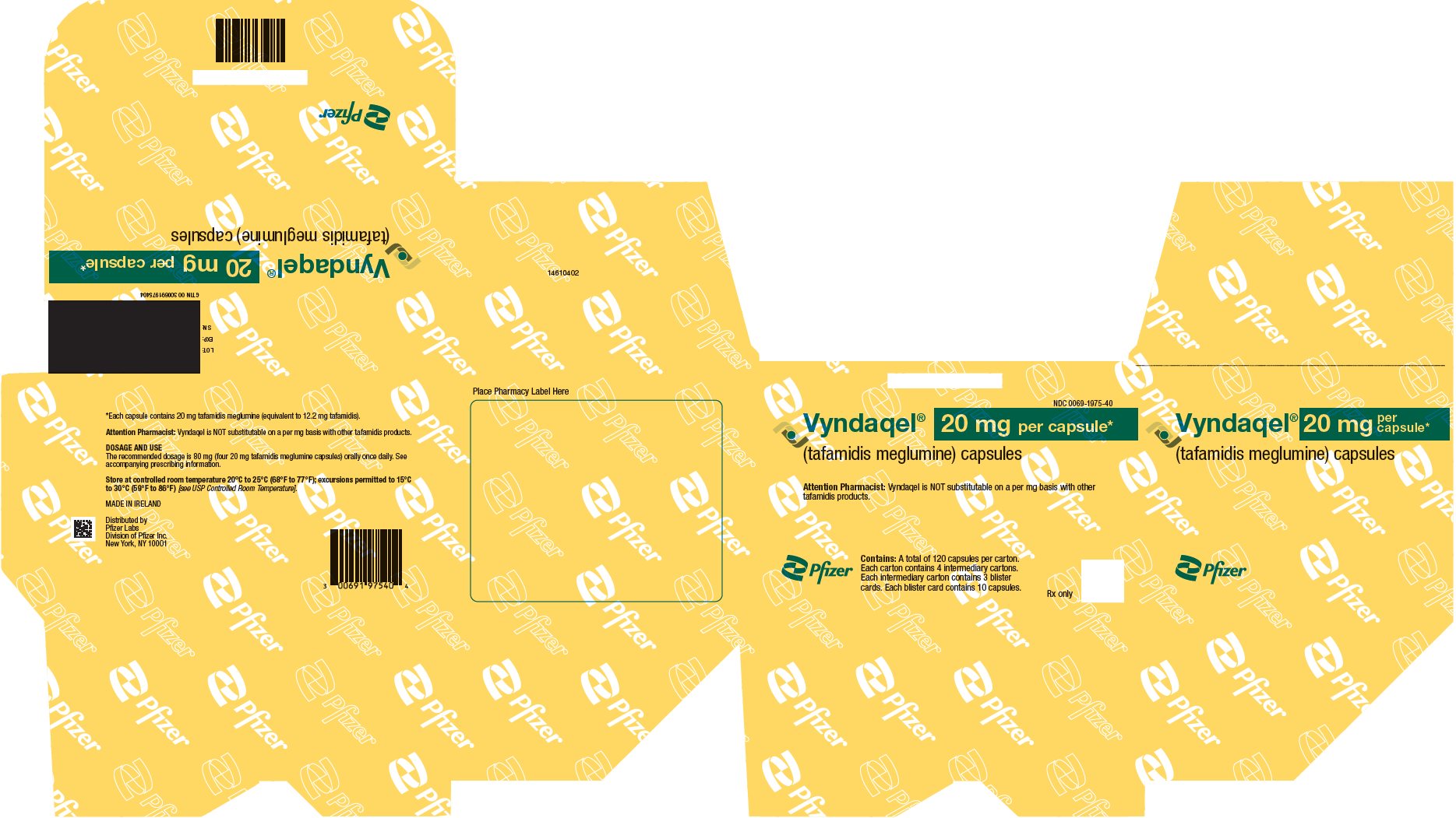 PRINCIPAL DISPLAY PANEL - 20 mg Capsule Blister Card Carton Carton