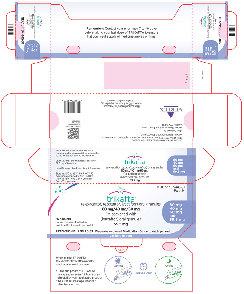 PANEL DE VISUALIZACIÓN PRINCIPAL - Caja del kit - 51167-445-01