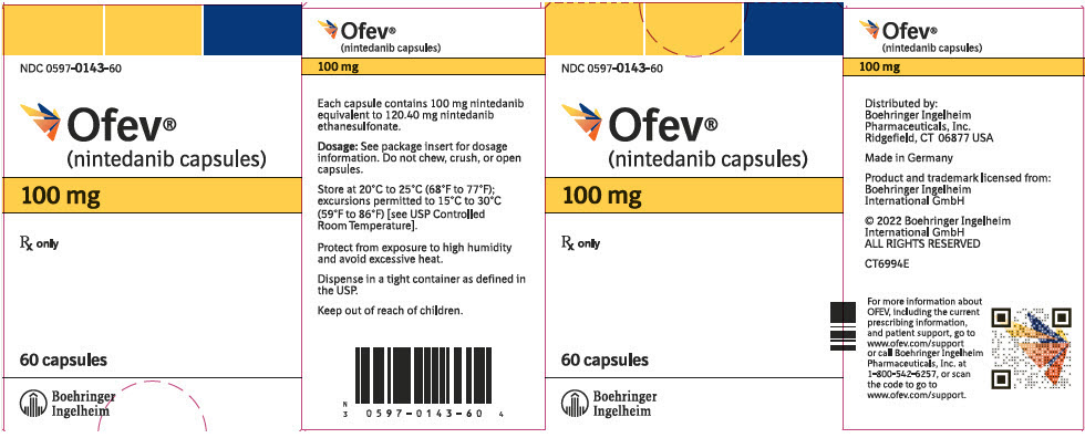 PRINCIPAL DISPLAY PANEL - 100 mg Capsule Bottle Carton