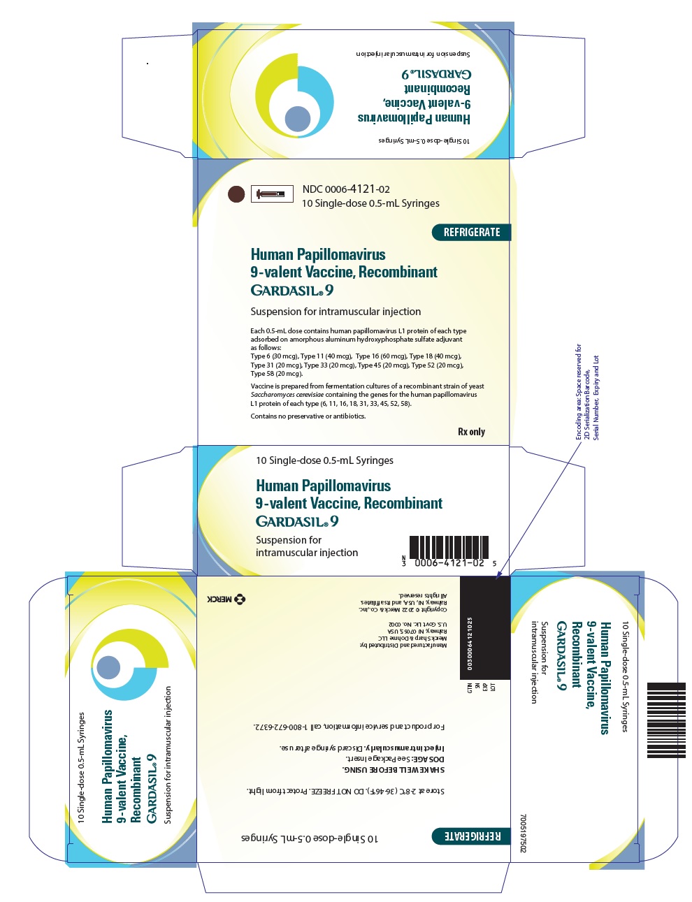 PANEL DE VISUALIZACIÓN PRINCIPAL - Jeringa de 0.5 mL Caja