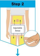 Un diagrama del cuerpo de una persona

Descripción generada automáticamente