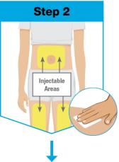 Un diagrama del cuerpo de una persona

Descripción generada automáticamente