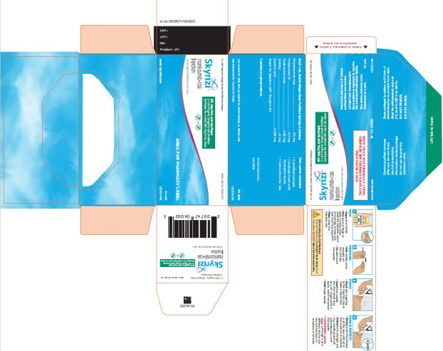 NDC 0074-7040-02
2 x 90 mg/mL Single Dose Prefilled Syringes
Skyrizi®
90 mg/mL per syringe
2 x 90 mg/mL Single-Dose Prefilled
Syringes for a total 180 mg/2 mL dose
risankizumab-rzaa 
Injection 
FOR SUBCUTANEOUS USE ONLY
Return to pharmacy if carton perforations are broken.
ATTENTION PHARMACIST:
Each patient is required to receive 
the enclosed Medication Guide.
This entire carton is dispensed as a unit.
FOR A 180 MG DOSE,
TWO 90 MG SYRINGES ARE REQUIRED.
INJECT 2 SYRINGES FOR A FULL DOSE.
www.SKYRIZI.com
Rx only
abbvie
